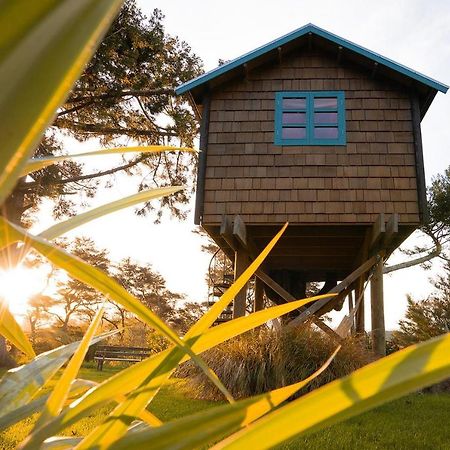 Tui Ridge Eco Cabins Aongatete Exterior foto