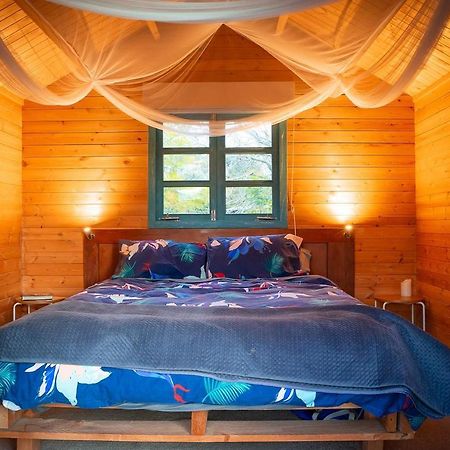 Tui Ridge Eco Cabins Aongatete Exterior foto