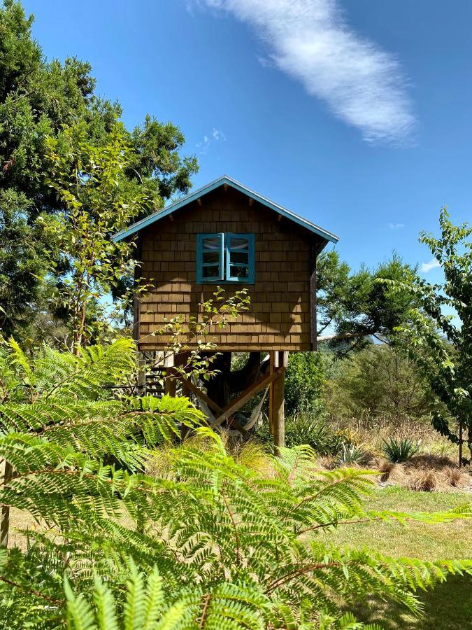 Tui Ridge Eco Cabins Aongatete Exterior foto